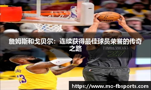 FB体育官网